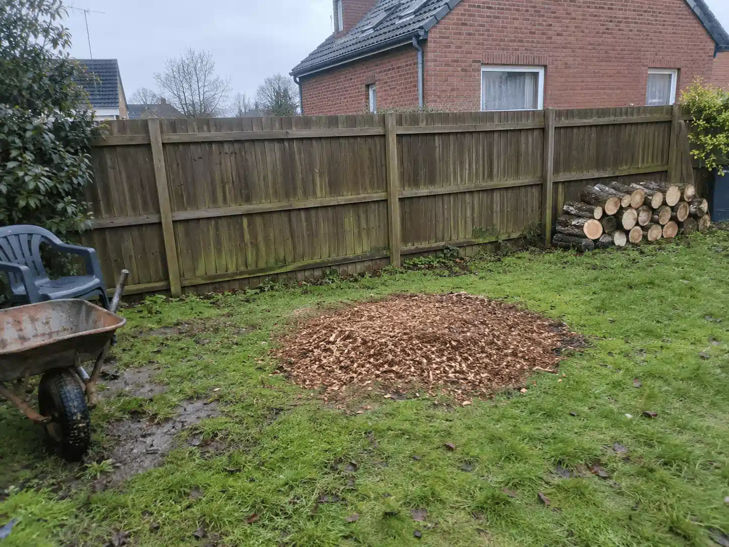 Le même jardin après abattage et rognage de la souche